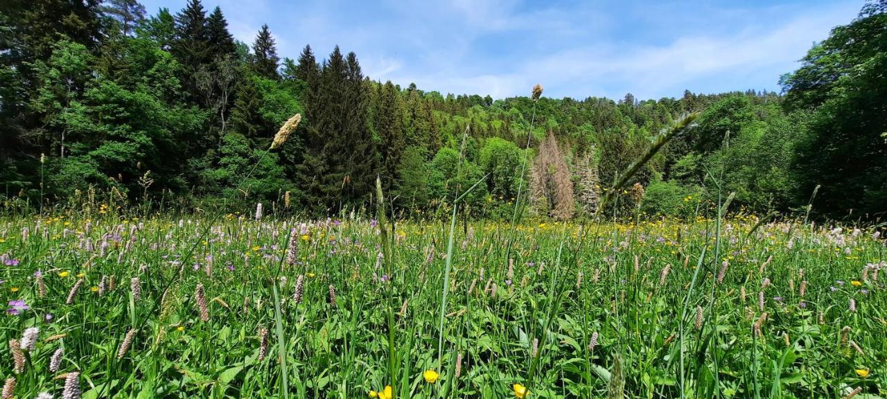 Seelust Apartment Schluchsee
