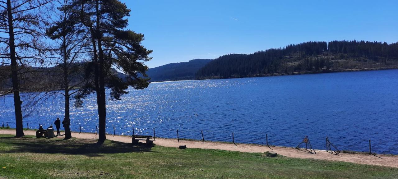 Apartment Seelust Schluchsee