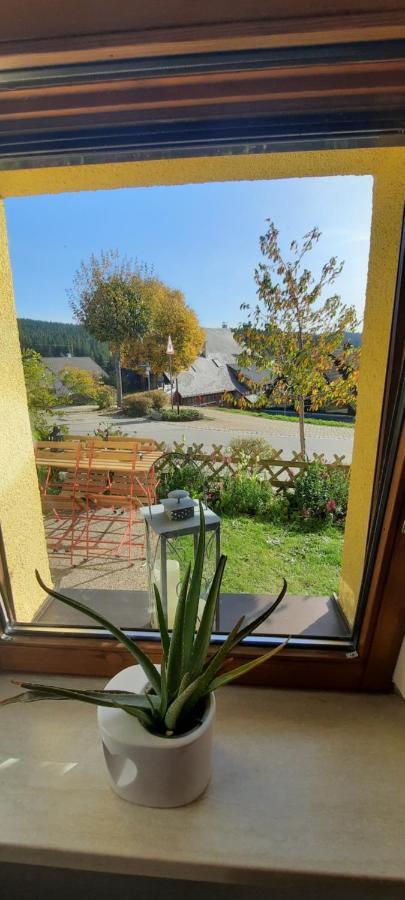 Apartment Seelust Schluchsee